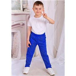 Брюки Тёма 2-205б