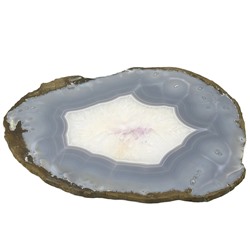 Срез агата 353*270*8мм, 1485г (T)