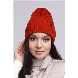 Шапка CLEVER #852205
