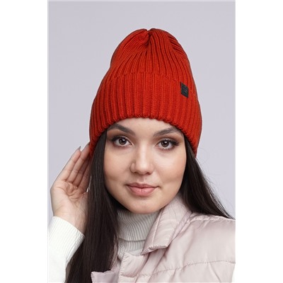 Шапка CLEVER #852205