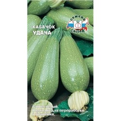 Кабачок Удача (Седек) 2г