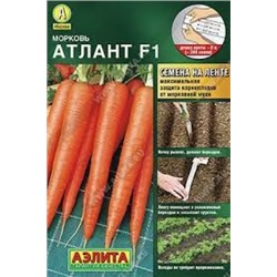 Мор. на ленте Атлант (Аэлита) 8м