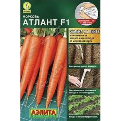 Мор. на ленте Атлант (Аэлита) 8м