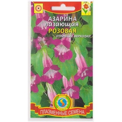 Азарина Розовая лазающая   (Код: 74748)