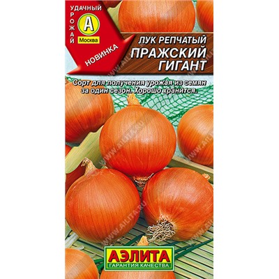 Лук репч. Пражский Гигант Аэлита