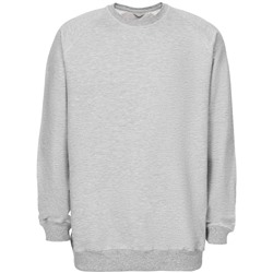 Свитшот мужской Kulonga Raeglan, серый меланж