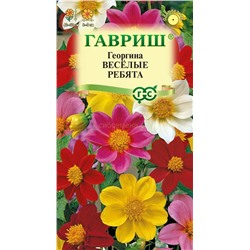 Георгина Веселые ребята (Гавр)