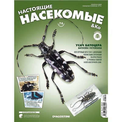 Журнал №74 "Настоящие насекомые" С ВЛОЖЕНИЕМ! Усач батоцера
