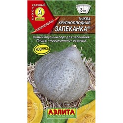 Тыква Запеканка (Аэлита) 1г