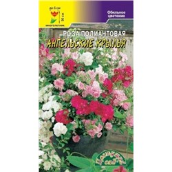 Цв.Роза Ангельские крылья (Цв.Сад) 5шт