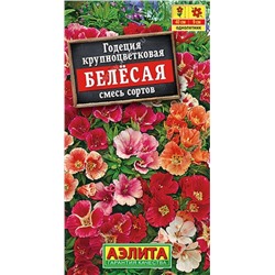 Годеция белесая (Аэлита)