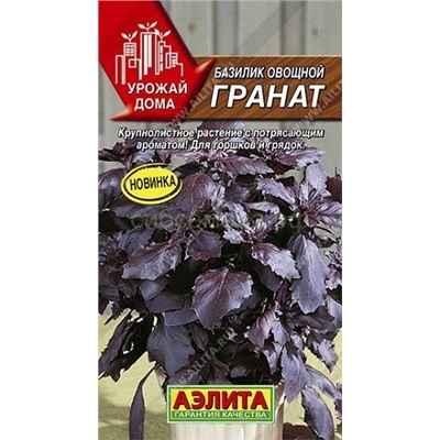 Базилик Гранат (Аэлита)