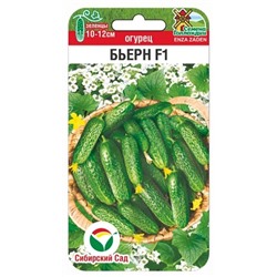 Огурец Бьерн F1 (Код: 91102)