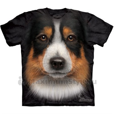 Футболка The Mountain "Australian Shepherd" (детская)