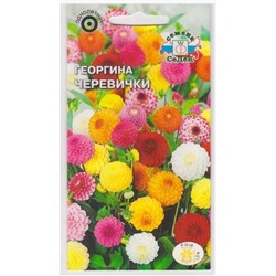 Георгина Черевички (Код: 71495)