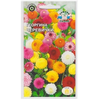 Георгина Черевички (Код: 71495)