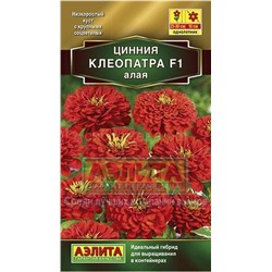 Цинния Клеопатра F1 алая (Аэлита)