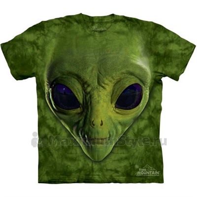 Футболка The Mountain "Green Alien Face" (детская)