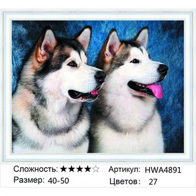 AM45 HWA4891, 40х50 см