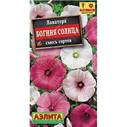 Лаватера Богиня солнца смесь (Аэлита)