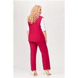 Swallow 646.2 вишня, Брюки,  Жилет