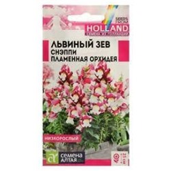 Цв.Львиный зев Снэппи Пламенная орхидея (Сем.Алтая) 10шт
