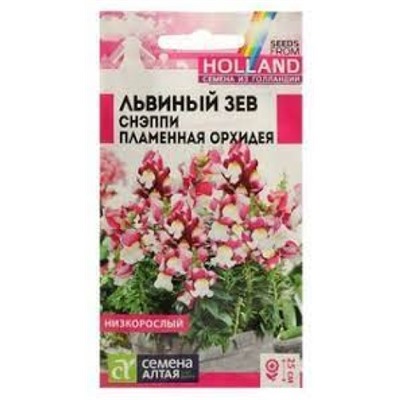 Цв.Львиный зев Снэппи Пламенная орхидея (Сем.Алтая) 10шт