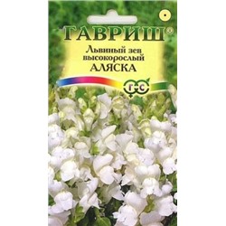 Цв.Львиный зев Аляска (Гавриш) 0,05г сер.Устойчив к заморозкам!