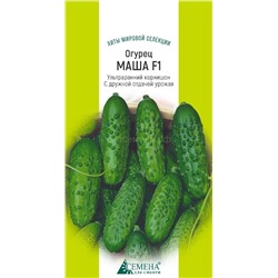 Огурец Маша F1 (Голландия), 5сем (цв.)