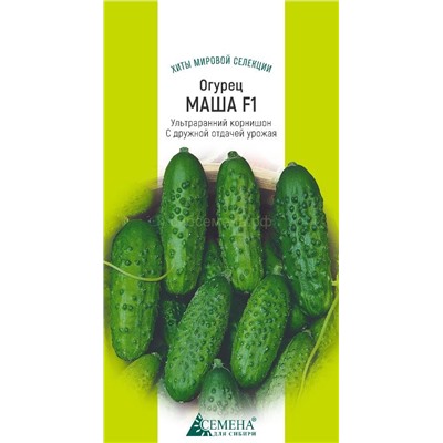 Огурец Маша F1 (Голландия), 5сем (цв.)