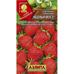 Земляника  Медовый вкус F1 ремонтантная  (Аэлита)