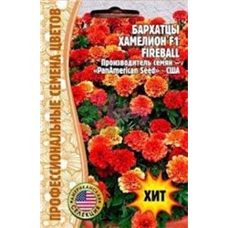 Цв.Барх.Хамелеон Огненный шар F1 (Fireball) (Григорьев) 5шт