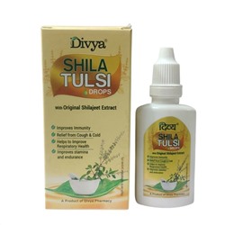 SHILA TULSI DROPS With Original Shilajeet Extract, Divya (ШИЛА ТУЛСИ капли с шиладжит экстрактом, Дивья), 30 мл.