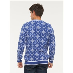 Джемпер мужской 222-12325