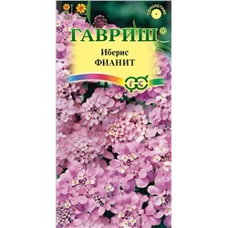Иберис Фианит (Гавр)