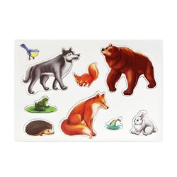 Магнитная развивающая игра «Соседи по планете»