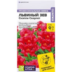 Цв.Львиный зев Снэппи Скарлет (Сем.Алтая) 7шт