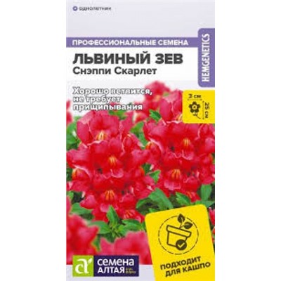 Цв.Львиный зев Снэппи Скарлет (Сем.Алтая) 7шт