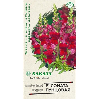 Львиный зев Соната пунцовая F1 (антирринум) (Гавр)