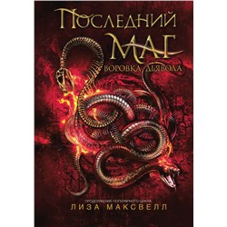 Последний маг. 2. Воровка дьявола