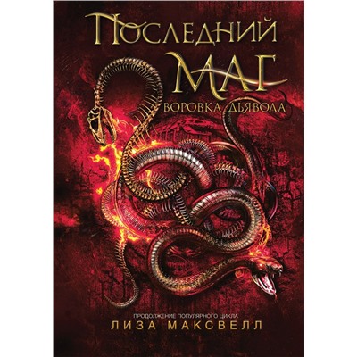 Последний маг. 2. Воровка дьявола
