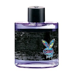PLAYBOY NEW YORK men 100ml edt