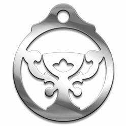 Амулет Серия Символы №05 Дом полная чаша медицинская сталь SH 903405