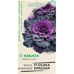 Капуста декоративная Осака красная F1 (Гавр)