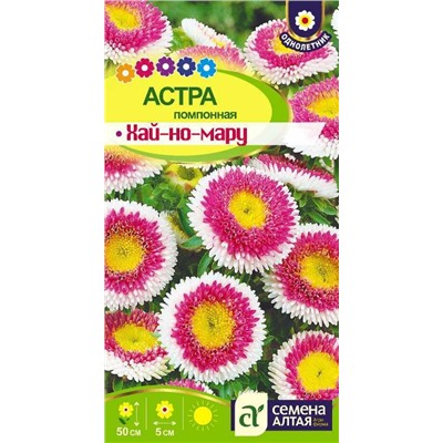 Астра Хай-Но-Мару Семена Алтая
