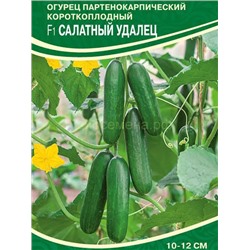 Огурец Салатный Удалец F1 (С)