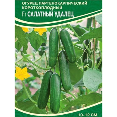 Огурец Салатный Удалец F1 (С)