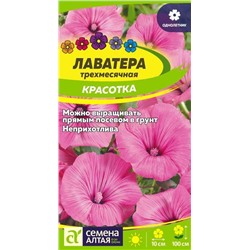 Лаватера Красотка (Алтай)