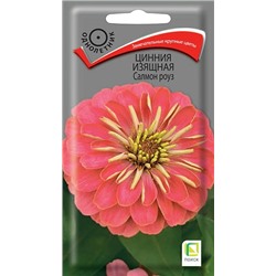 Цинния Салмон Роуз (Код: 67737)