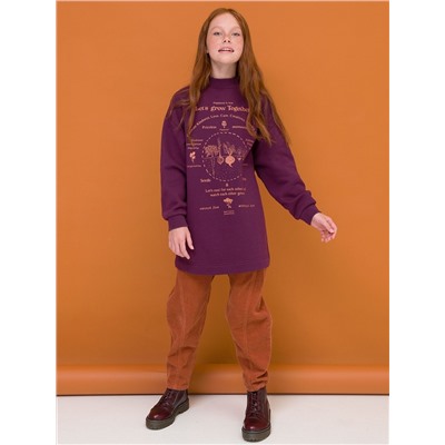 GFNR4292 (Толстовка для девочки, Pelican Outlet )